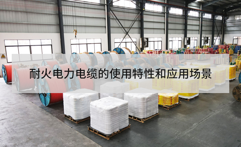 耐火草莓软件下载中心的使用特性和应用场景