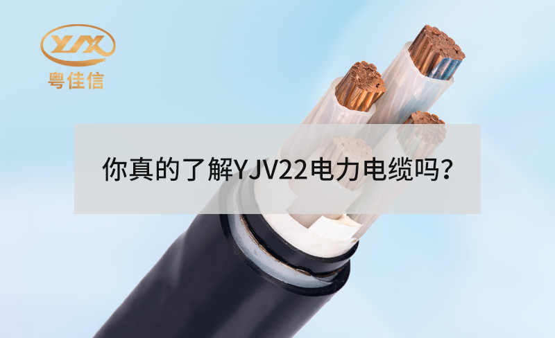 你真的了解YJV22草莓软件下载中心吗？