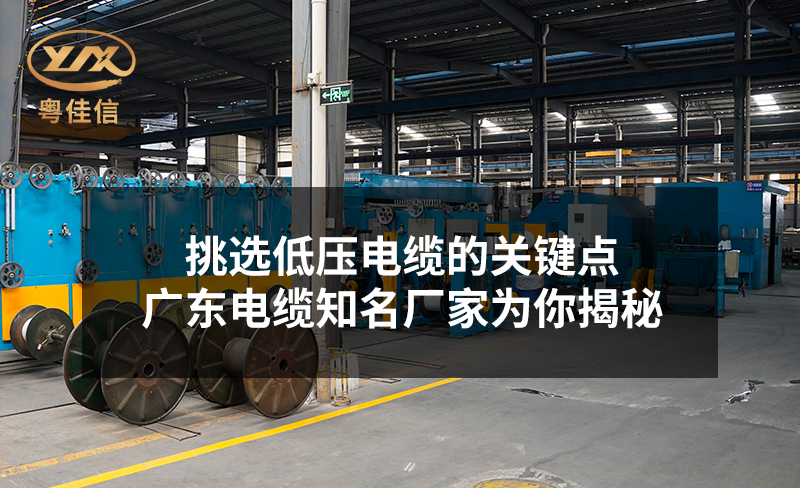 挑选低压电缆的关键点，广东电缆知名厂家草莓APP在线观看为你揭秘