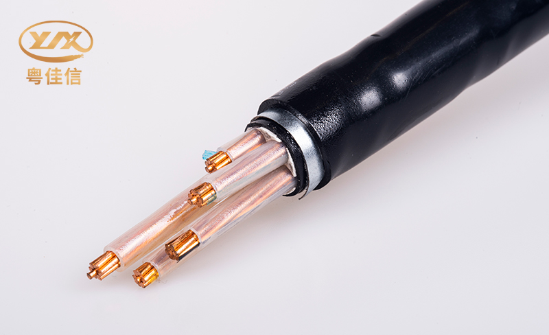 微信图片_20250522154126