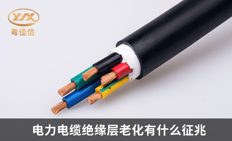 如何判断草莓软件下载中心绝缘层的老化现象？