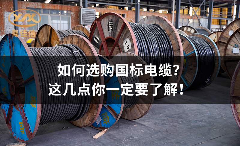 如何选购国标电缆？这几点你一定要了解！